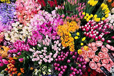 最终幻想16典藏版PS官方免费送！FF16典藏版官方抽奖地址