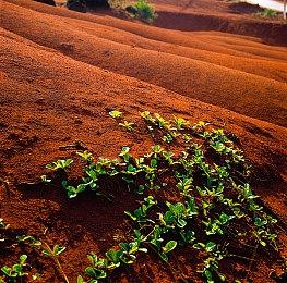 《女神异闻录5：皇家版》NS OLED版试玩画面流出